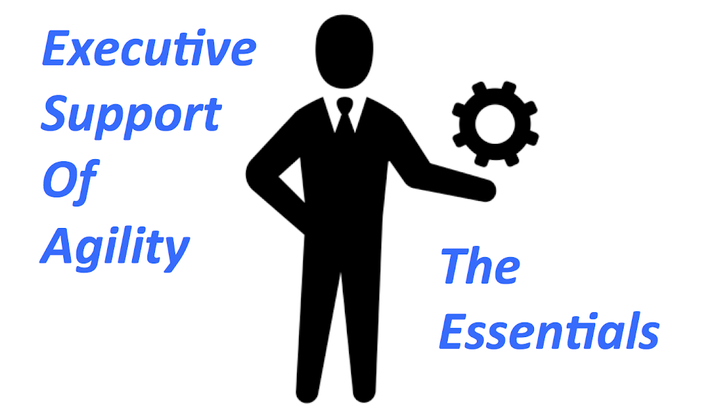 Executive support essentials